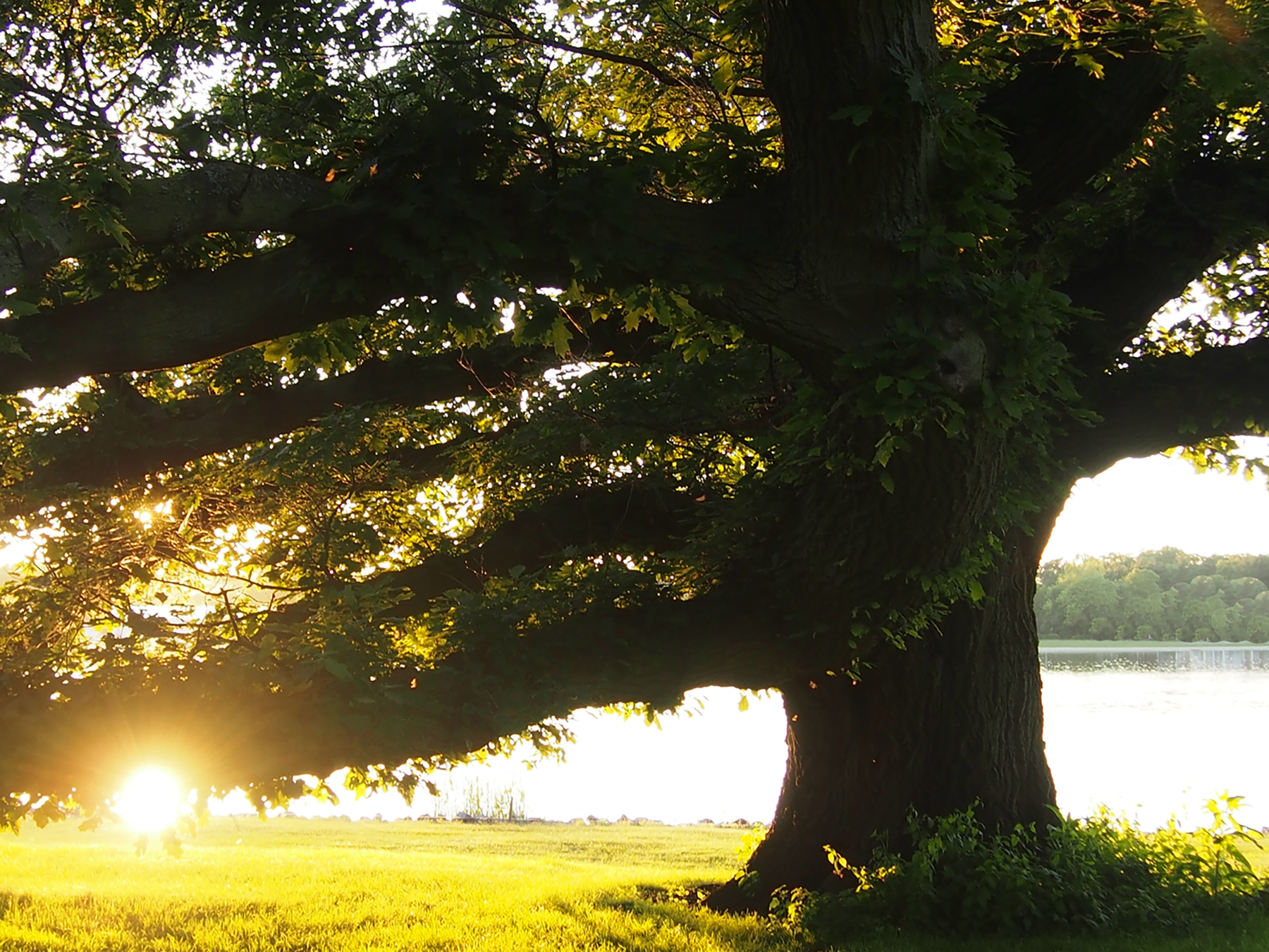 Classes Monica Verplank Ayurvedic Lifestyle Services in Spring Lake MI